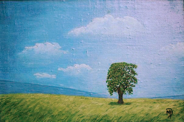 Zdjęcie: samotne-drzewo-na-zielonej-lace-niebieskie-niebo-wokolo.jpg